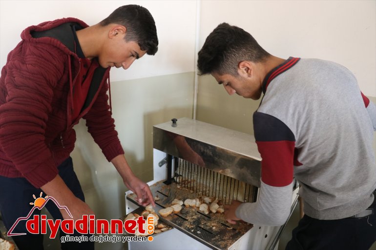 Atık malzemeler sokak hayvanlarına yuva oldu