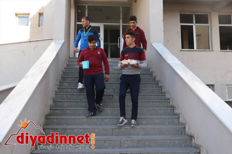 Atık malzemeler sokak hayvanlarına yuva oldu2