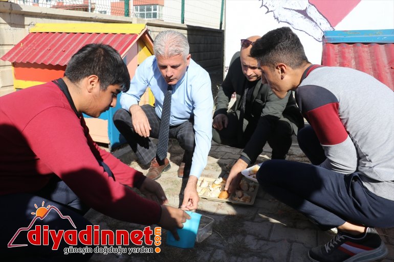 Atık malzemeler sokak hayvanlarına yuva oldu3