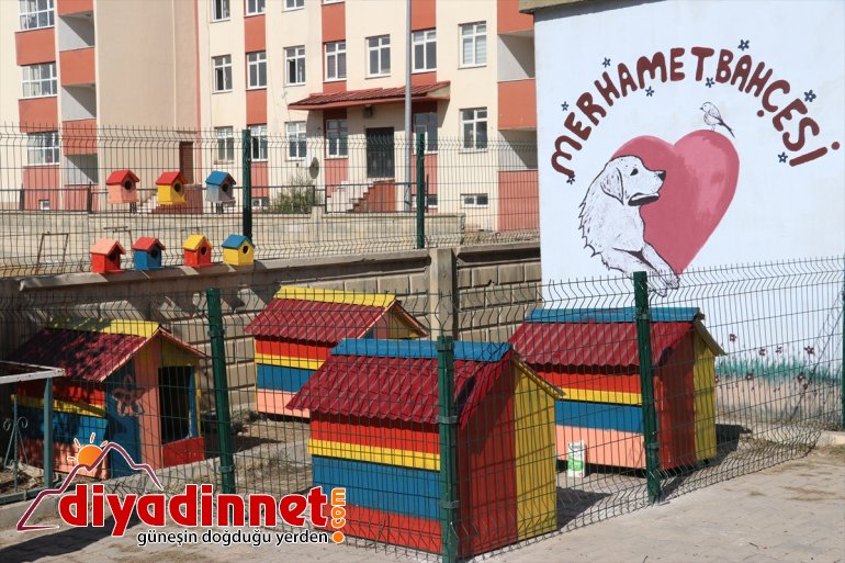 Atık malzemeler sokak hayvanlarına yuva oldu6