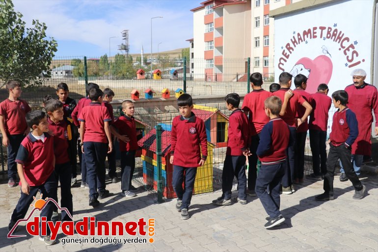 Atık malzemeler sokak hayvanlarına yuva oldu7