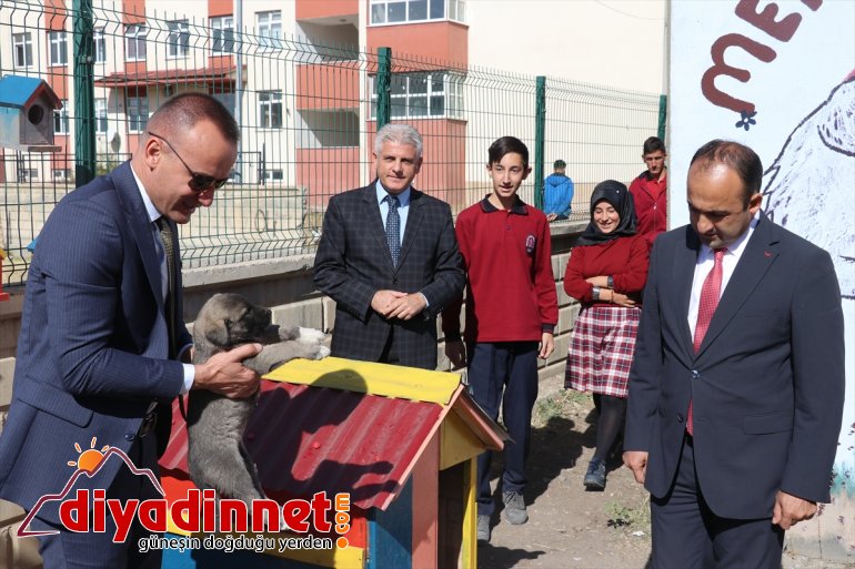 Atık malzemeler sokak hayvanlarına yuva oldu8