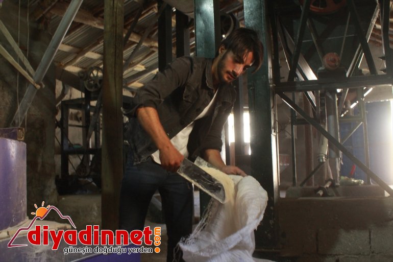 Dede yadigarı değirmeninin çarkını torunu döndürüyor - AĞRI5