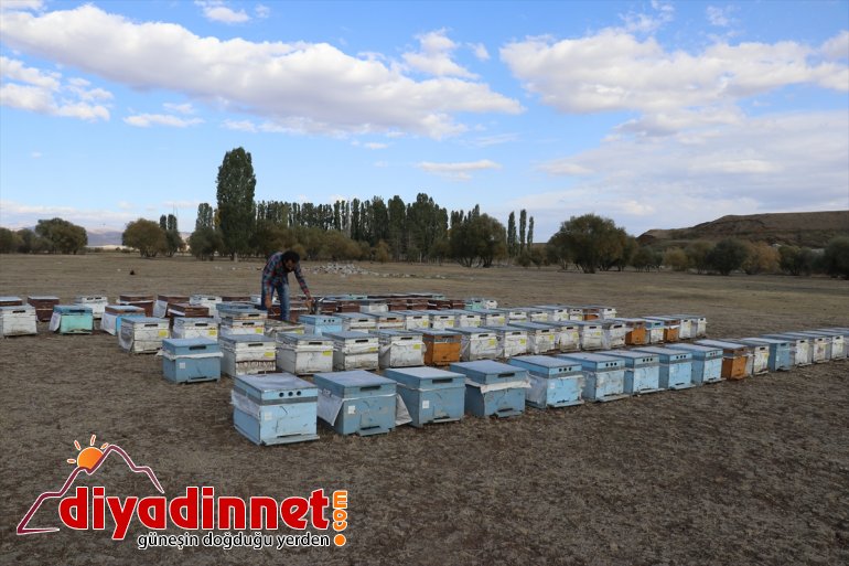 Mezun olmadan harçlıklarıyla kendi işini kurdu1