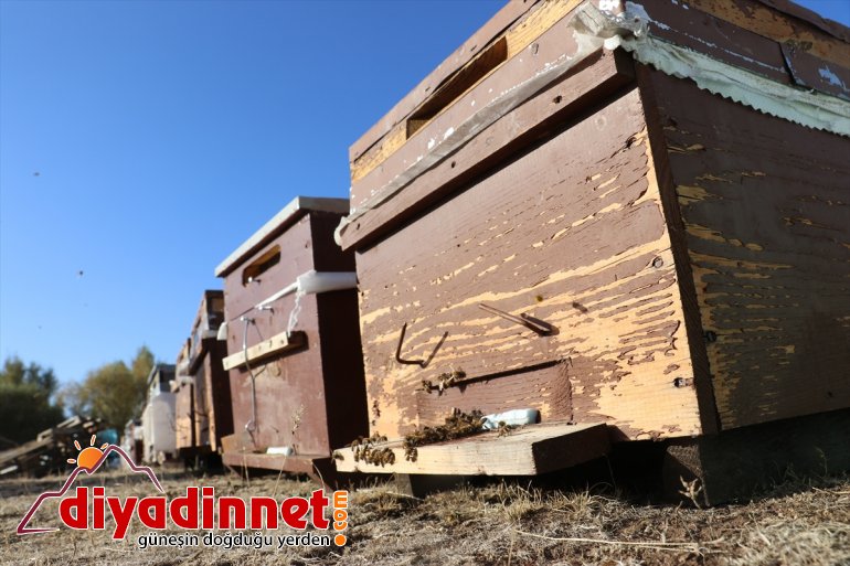 Mezun olmadan harçlıklarıyla kendi işini kurdu6