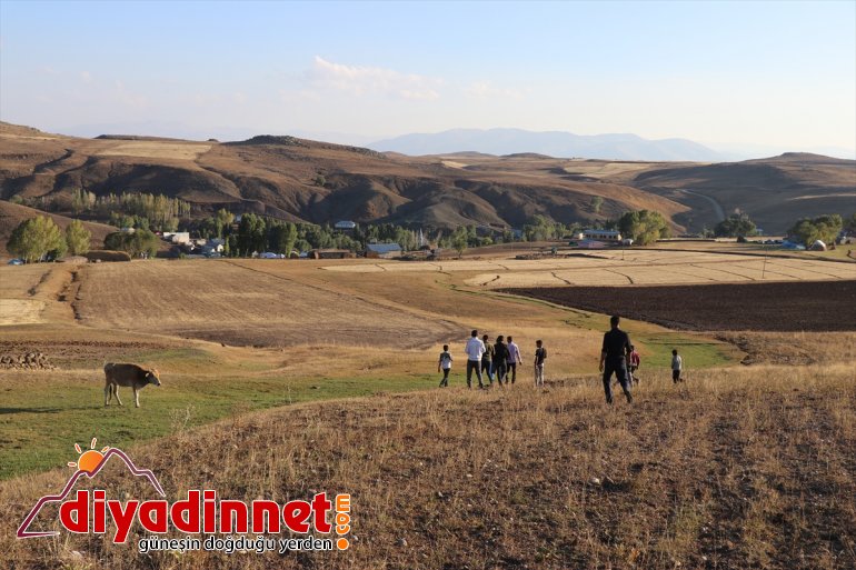 Sevdiklerinden haber almak için tepelere çıkıyorlar - AĞRI8