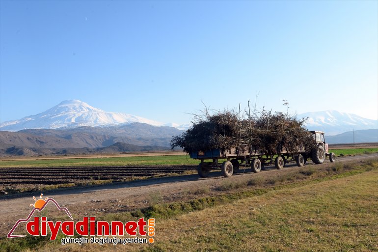 Ağrı Dağı beyaz gelinliğiyle büyülüyor - IĞDIR5