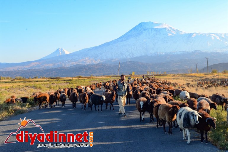 Ağrı Dağı beyaz gelinliğiyle büyülüyor - IĞDIR6