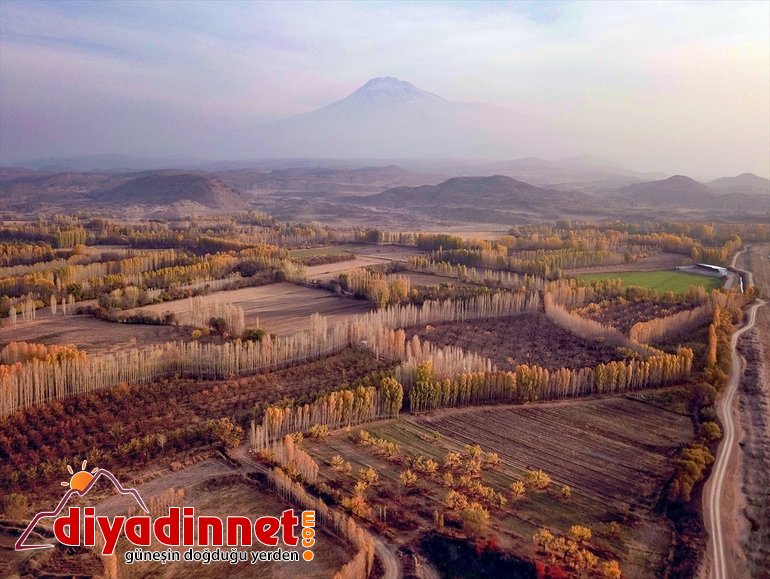 Ağrı Dağı eteklerindeki İrem Bağları'nda sonbahar güzelliği