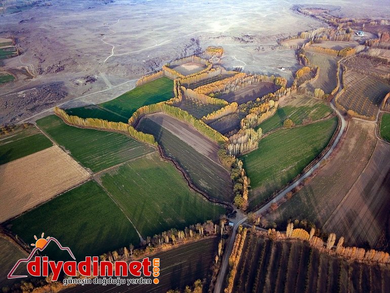 Ağrı Dağı eteklerindeki İrem Bağları nda sonbahar güzelliği2