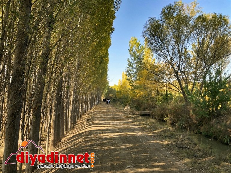 Ağrı Dağı eteklerindeki İrem Bağları nda sonbahar güzelliği17