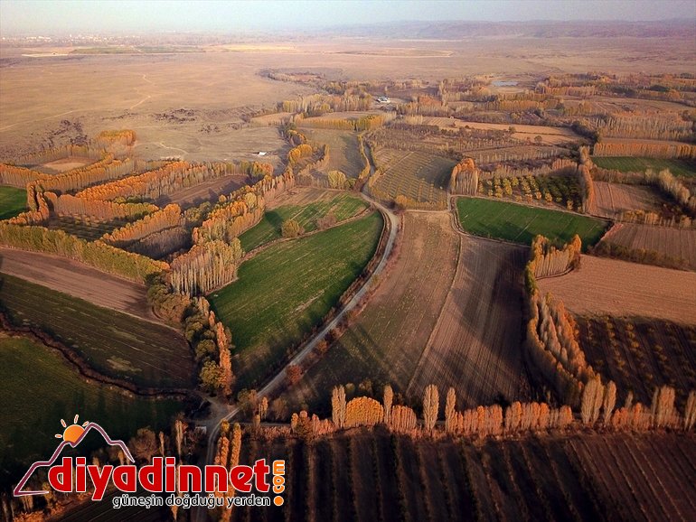 Ağrı Dağı eteklerindeki İrem Bağları nda sonbahar güzelliği4