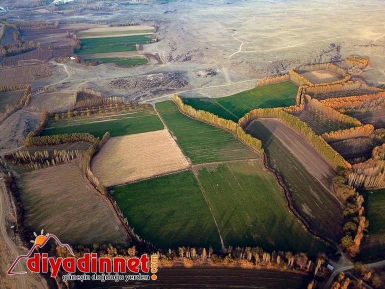 Ağrı Dağı eteklerindeki İrem Bağları nda sonbahar güzelliği5