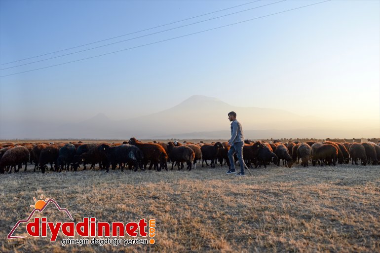 Ağrı Dağı son yaylacıları uğurladı