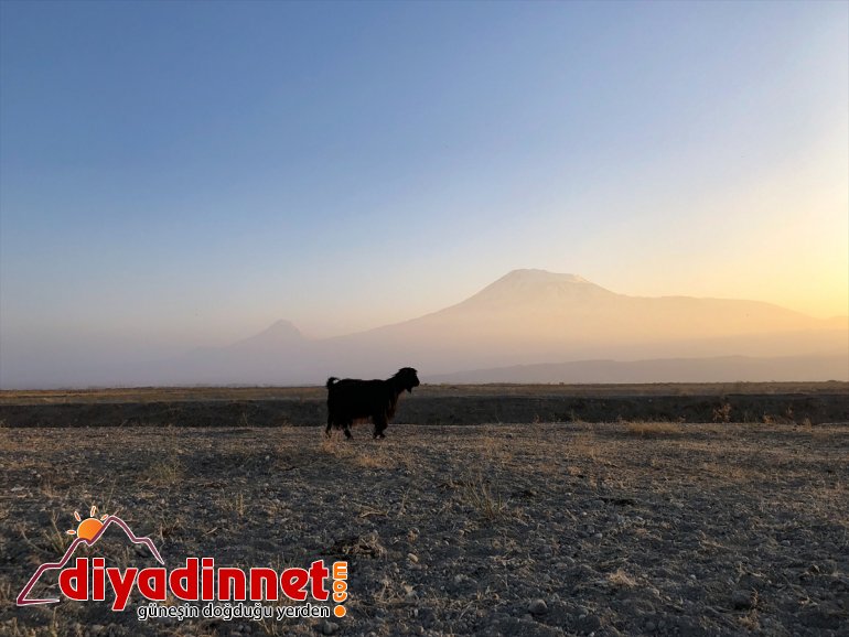 Ağrı Dağı son yaylacıları uğurladı - IĞDIR2