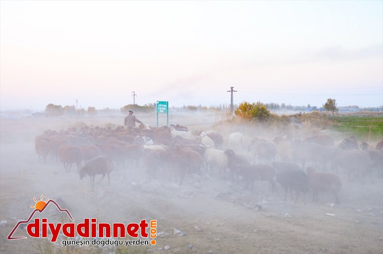 Ağrı Dağı son yaylacıları uğurladı - IĞDIR11