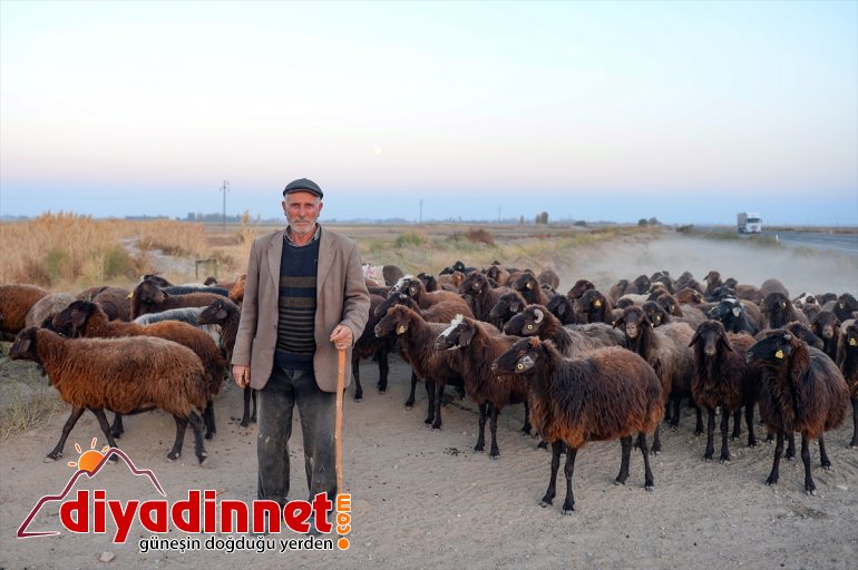 Ağrı Dağı son yaylacıları uğurladı - IĞDIR3