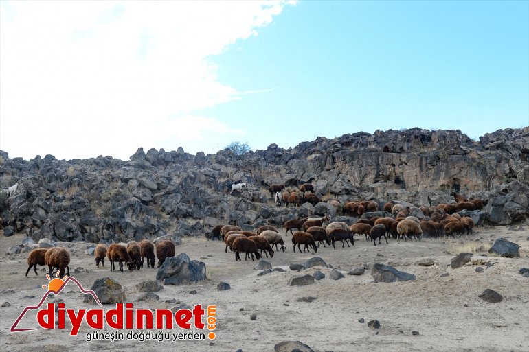 Ağrı Dağı son yaylacıları uğurladı - IĞDIR7