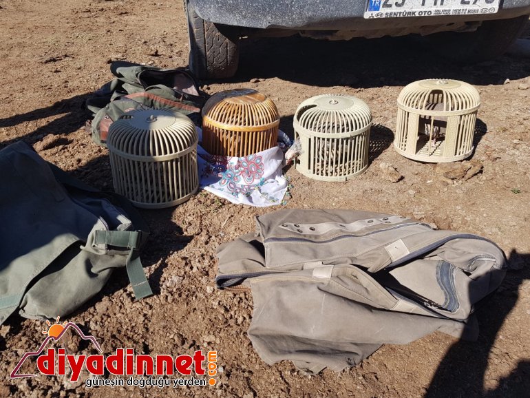 Ağrı'da kaçak avlanan 2 kişiye 5424 TL ceza kesildi