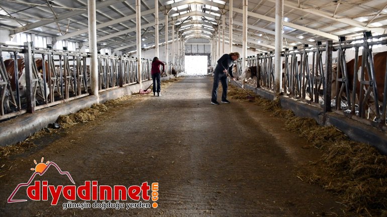 Alman gezginlerin Ağrı