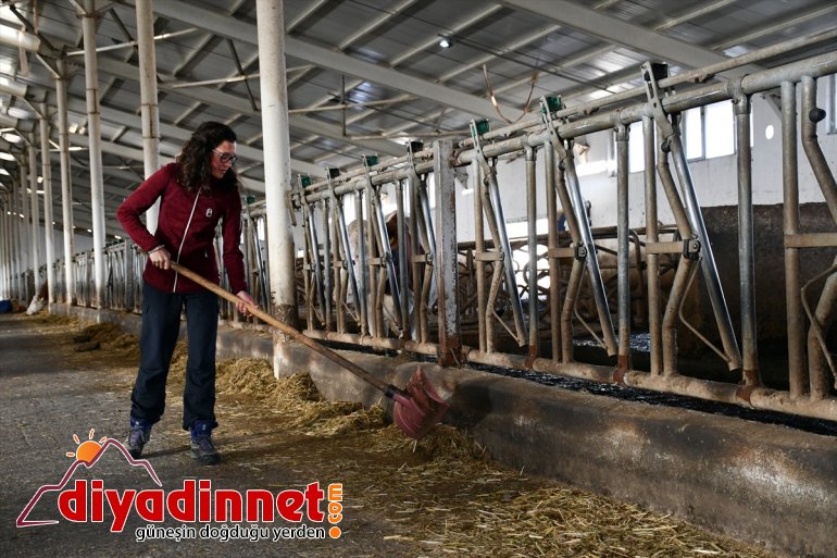 Alman gezginlerin Ağrı