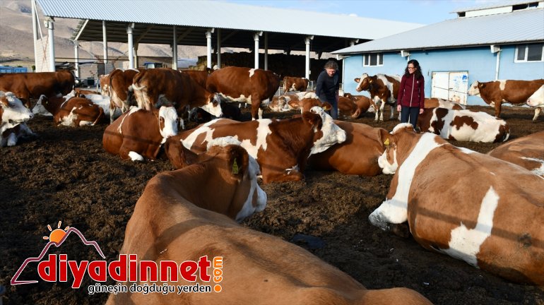 Alman gezginlerin Ağrı