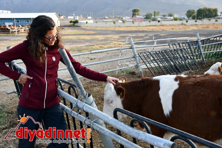 Alman gezginlerin Ağrı