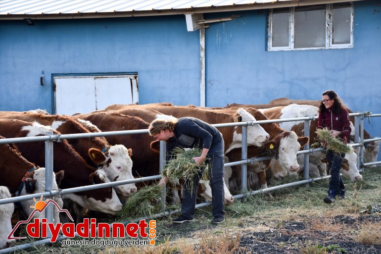 Alman gezginlerin Ağrı