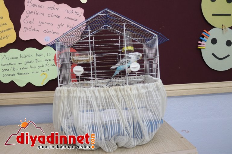 Miniklerin 'can dostları' ile neşeli eğitimi