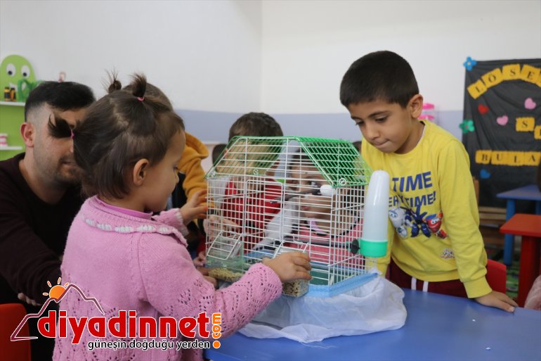 Miniklerin can dostları ile neşeli eğitimi - AĞRI5