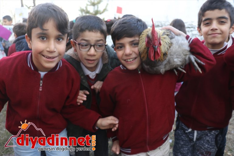 Miniklerin can dostları ile neşeli eğitimi - AĞRI6