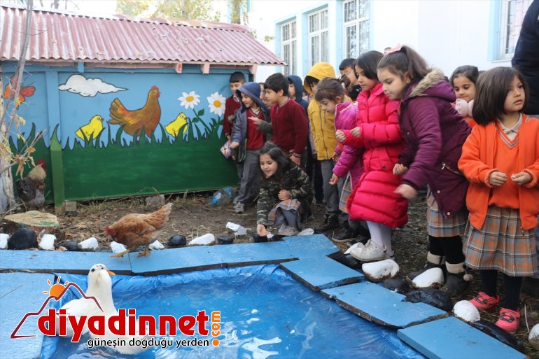 Miniklerin can dostları ile neşeli eğitimi - AĞRI8