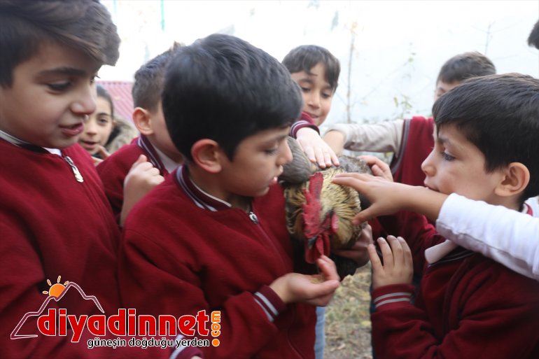 Miniklerin can dostları ile neşeli eğitimi - AĞRI9