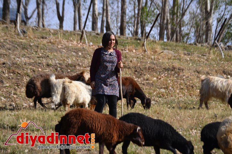 şeyma durmuş ağrı1