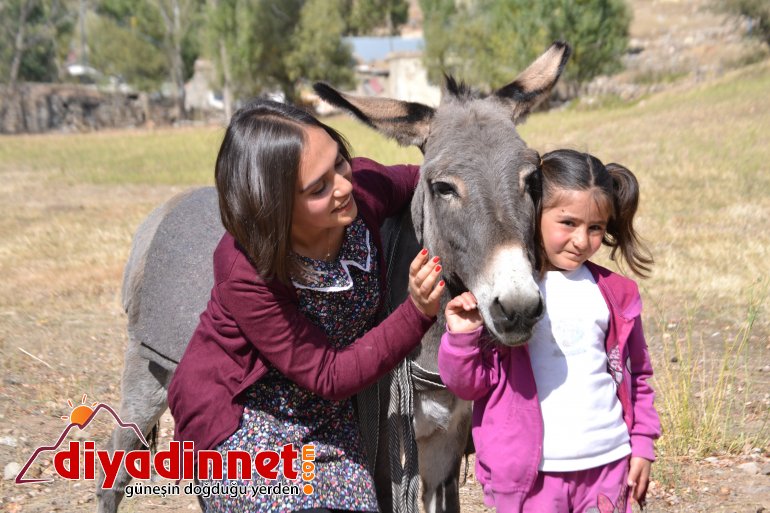 şeyma durmuş ağrı9