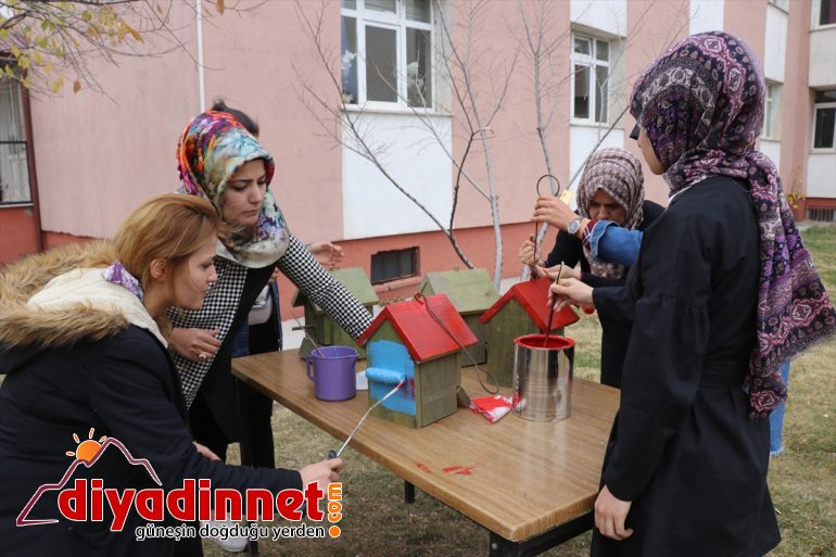 Üniversite öğrencileri, yaptıkları yuvalarla kuşları soğuktan koruyor - AĞRI2