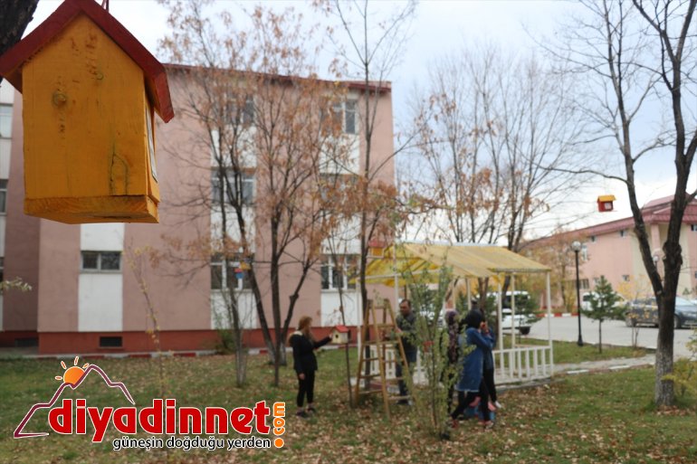 Üniversite öğrencileri, yaptıkları yuvalarla kuşları soğuktan koruyor - AĞRI12