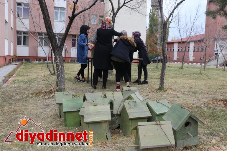 Üniversite öğrencileri, yaptıkları yuvalarla kuşları soğuktan koruyor - AĞRI3