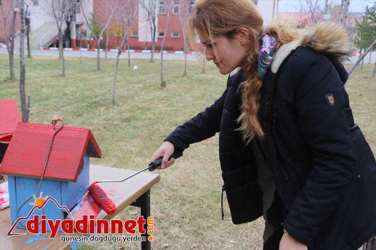 Üniversite öğrencileri, yaptıkları yuvalarla kuşları soğuktan koruyor - AĞRI5