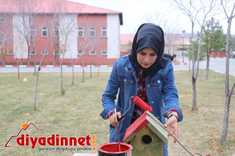 Üniversite öğrencileri, yaptıkları yuvalarla kuşları soğuktan koruyor - AĞRI6