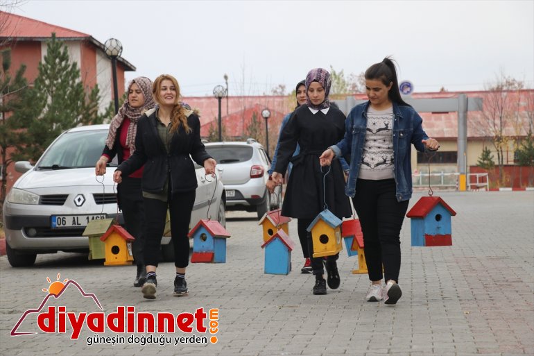 Üniversite öğrencileri, yaptıkları yuvalarla kuşları soğuktan koruyor - AĞRI7