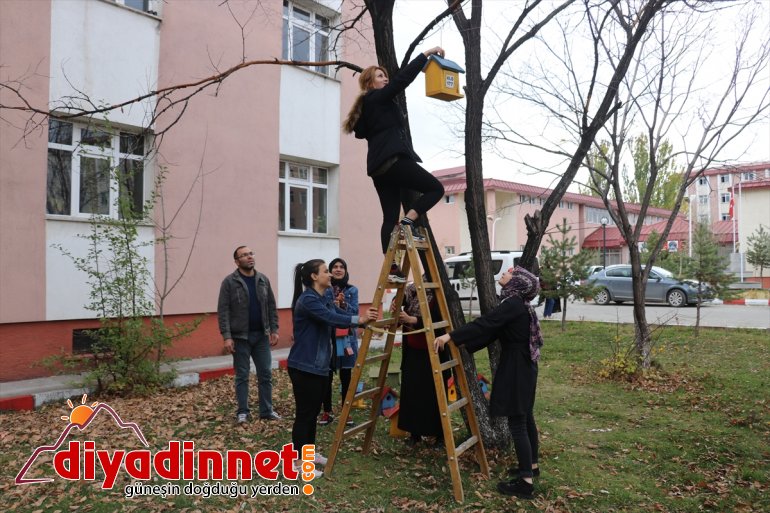 Üniversite öğrencileri, yaptıkları yuvalarla kuşları soğuktan koruyor - AĞRI8