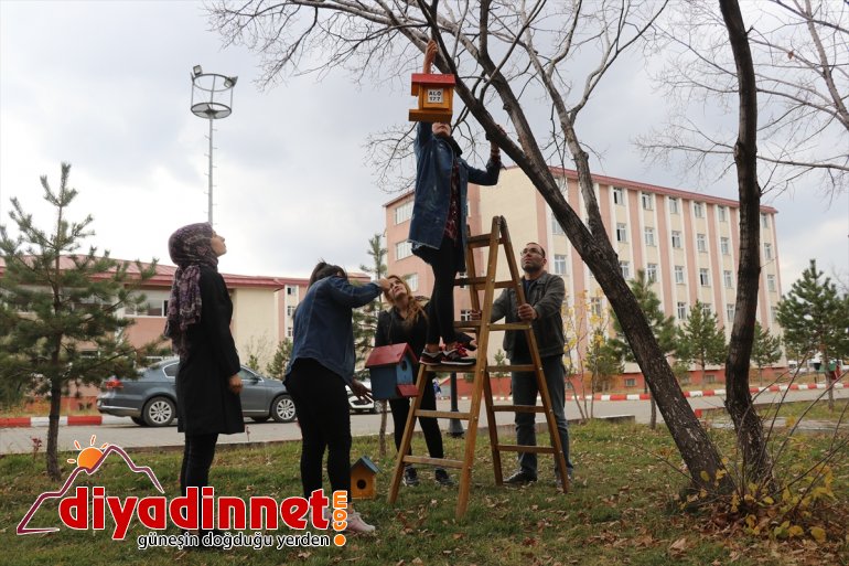 Üniversite öğrencileri, yaptıkları yuvalarla kuşları soğuktan koruyor - AĞRI9
