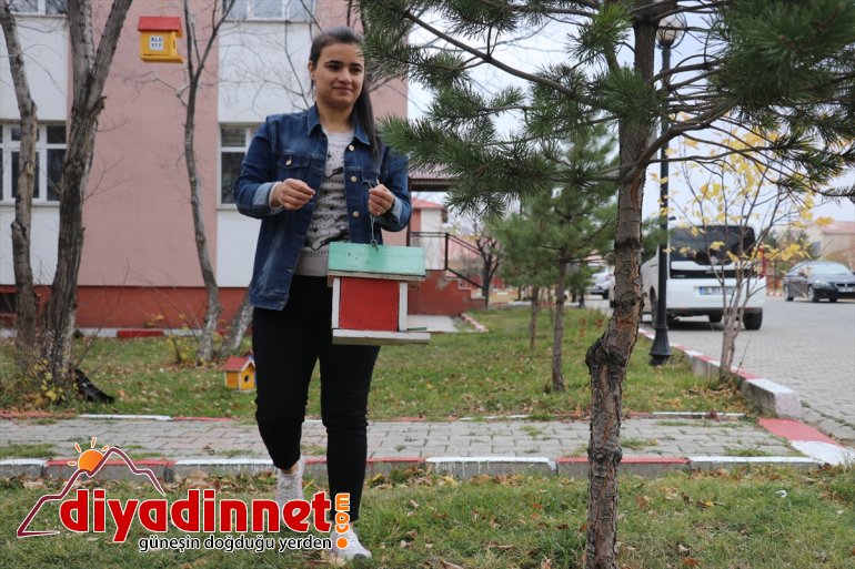 Üniversite öğrencileri, yaptıkları yuvalarla kuşları soğuktan koruyor - AĞRI10