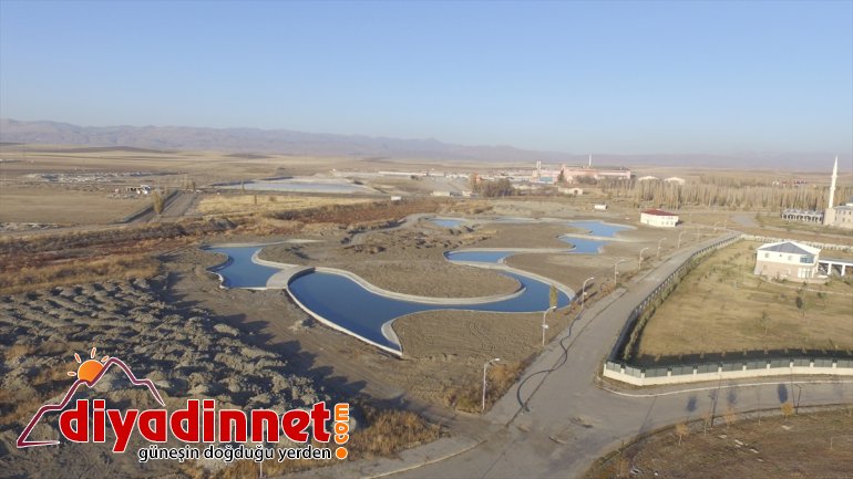 Üniversite yerleşkesine temsili Nuh'un Gemisi yapılacak