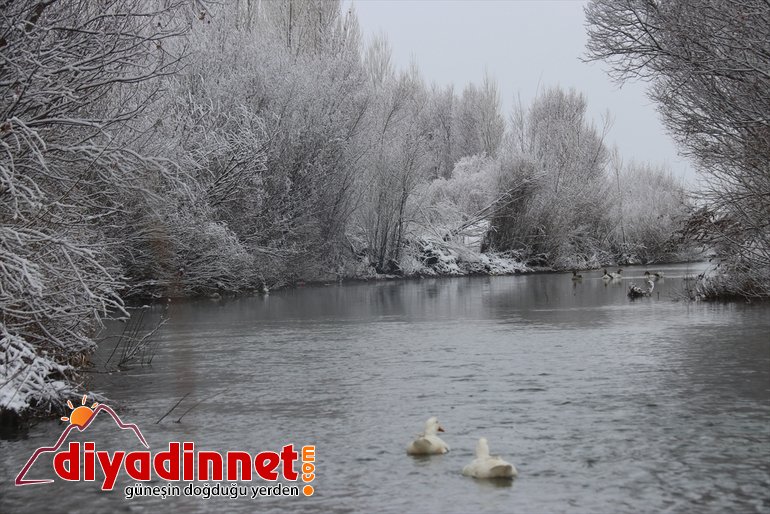 Ağrı da soğuk hava besicileri olumsuz etkiledi9