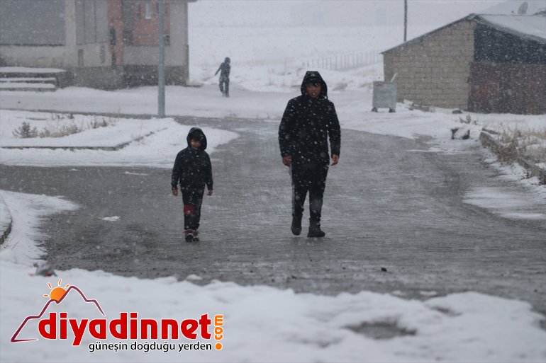 Ağrı'da kar etkili oluyor