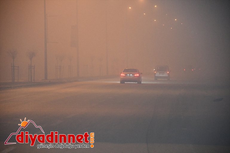 Ağrı'da yoğun sis