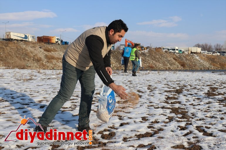 Ağrılı gönüllüler yaban hayvanları için seferber oldu2