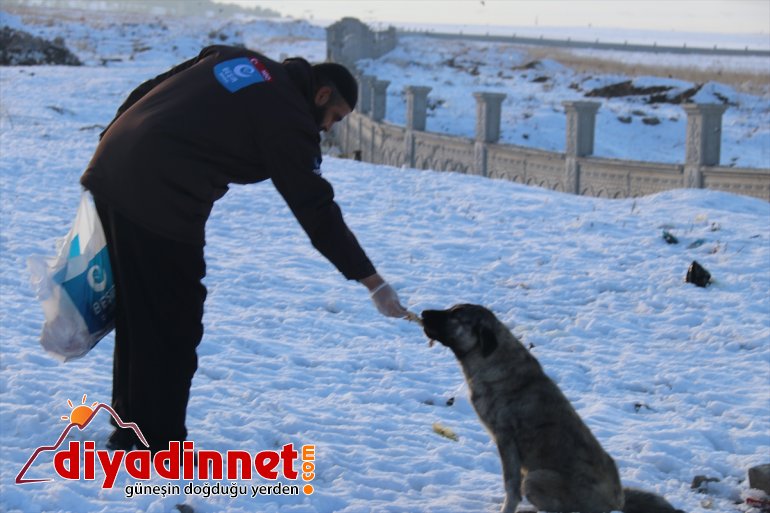 Ağrılı gönüllüler yaban hayvanları için seferber oldu12
